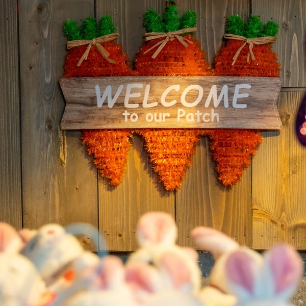 A wooden sign with "WELCOME to our Patch" in white, flanked by three orange carrot decorations.