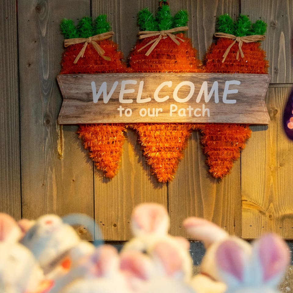 A wooden sign with "WELCOME to our Patch" in white, flanked by three orange carrot decorations.